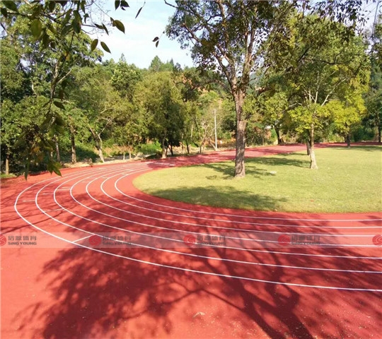 廣州塑膠跑(pǎo)道 廣州塑(sù)膠跑道